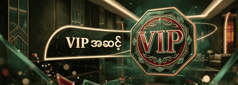 VIP LEVEL